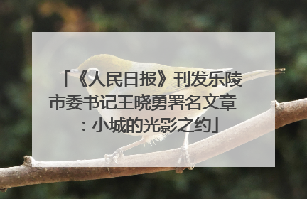 《人民日报》刊发乐陵市委书记王晓勇署名文章：小城的光影之约