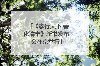 《孝行天下 善化清丰》新书发布会在京举行