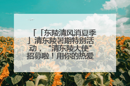 「东陵清风消夏季」清东陵暑期特别活动，“清东陵大使”招募啦！用你的热爱守护世界遗产！