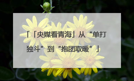 「央媒看青海」从“单打独斗”到“抱团取暖”