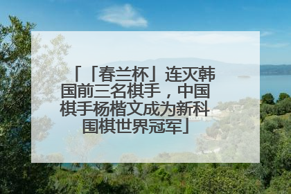 「春兰杯」连灭韩国前三名棋手，中国棋手杨楷文成为新科围棋世界冠军
