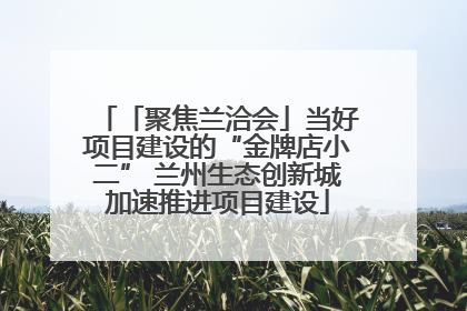 「聚焦兰洽会」当好项目建设的“金牌店小二” 兰州生态创新城加速推进项目建设