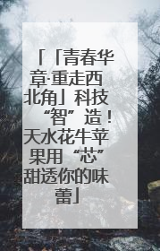「青春华章·重走西北角」科技“智”造！天水花牛苹果用“芯”甜透你的味蕾