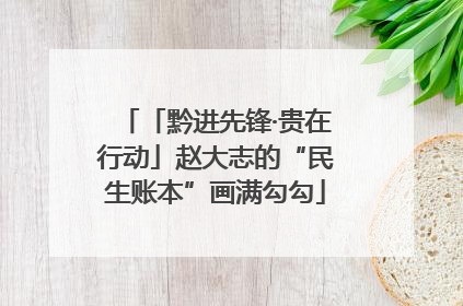 「黔进先锋·贵在行动」赵大志的“民生账本”画满勾勾