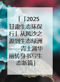 「2025甘肃生态环保行」从风沙之源到生态绿洲——青土湖华丽转身书写生态新篇