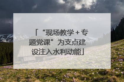 “现场教学＋专题党课”为支点建设注入水利动能