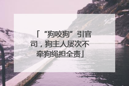 “狗咬狗”引官司，狗主人屡次不牵狗绳担全责