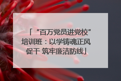“百万党员进党校”培训班：以学铸魂正风促干 筑牢廉洁防线