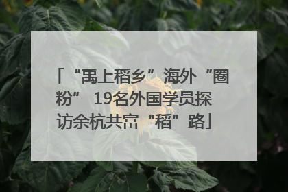 “禹上稻乡”海外“圈粉” 19名外国学员探访余杭共富“稻”路