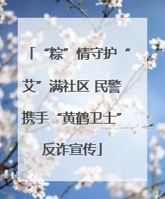 “粽”情守护“艾”满社区 民警携手“黄鹤卫士”反诈宣传
