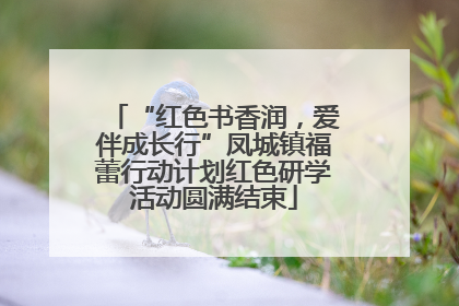 “红色书香润，爱伴成长行”凤城镇福蕾行动计划红色研学活动圆满结束