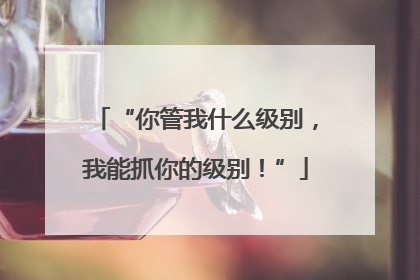 “你管我什么级别，我能抓你的级别！”