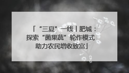 “三夏”一线丨肥城：探索“菌果蔬”轮作模式 助力农民增收致富