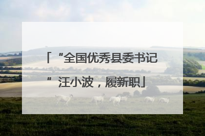 “全国优秀县委书记”汪小波，履新职