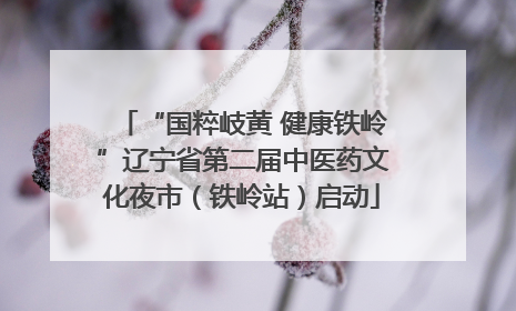 “国粹岐黄 健康铁岭”辽宁省第二届中医药文化夜市（铁岭站）启动