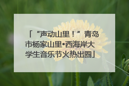 “声动山里！”青岛市杨家山里•西海岸大学生音乐节火热出圈
