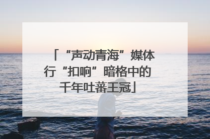 “声动青海”媒体行“扣响”暗格中的千年吐蕃王冠