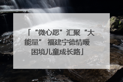 “微心愿”汇聚“大能量” 福建宁德情暖困境儿童成长路