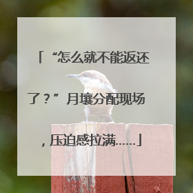 “怎么就不能返还了？”月壤分配现场，压迫感拉满……