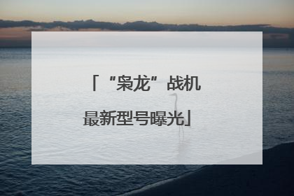 “枭龙”战机最新型号曝光