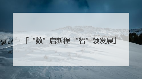 “数”启新程 “智”领发展