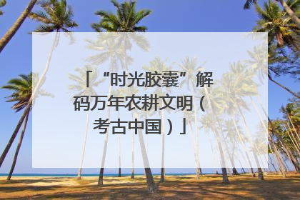 “时光胶囊”解码万年农耕文明（考古中国）