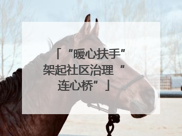 “暖心扶手”架起社区治理“连心桥”