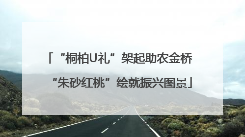 “桐柏U礼”架起助农金桥 “朱砂红桃”绘就振兴图景
