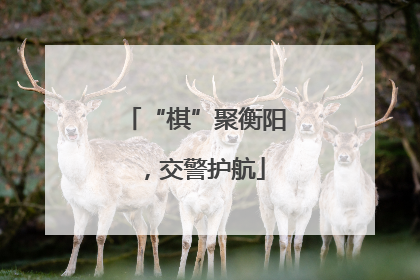 “棋”聚衡阳，交警护航