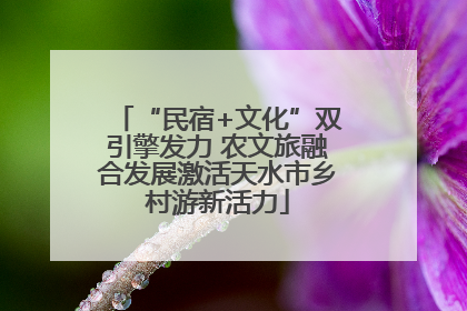 “民宿+文化”双引擎发力 农文旅融合发展激活天水市乡村游新活力