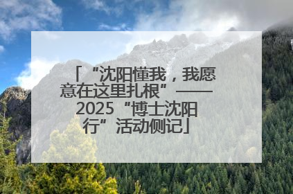 “沈阳懂我，我愿意在这里扎根”——2025“博士沈阳行”活动侧记