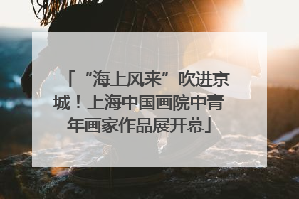 “海上风来”吹进京城！上海中国画院中青年画家作品展开幕