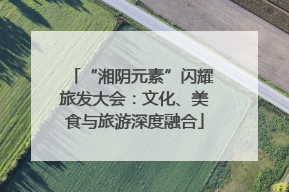 “湘阴元素”闪耀旅发大会：文化、美食与旅游深度融合