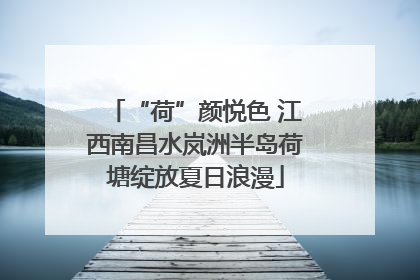 “荷”颜悦色 江西南昌水岚洲半岛荷塘绽放夏日浪漫