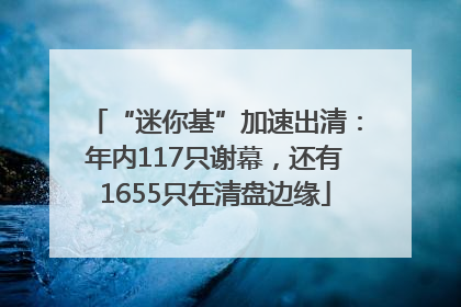 “迷你基”加速出清：年内117只谢幕，还有1655只在清盘边缘