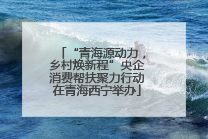 “青海源动力，乡村焕新程”央企消费帮扶聚力行动在青海西宁举办