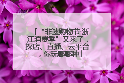 “非遗购物节·浙江消费季”又来了，探店、直播、云平台，你玩哪哪种
