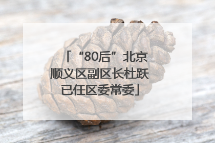 “80后”北京顺义区副区长杜跃已任区委常委