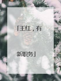 王红，有新职务