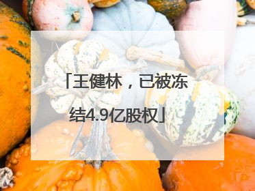 王健林，已被冻结4.9亿股权
