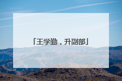 王学勤，升副部