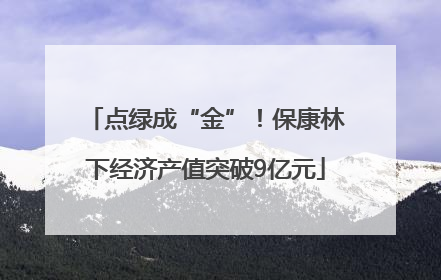 点绿成“金”！保康林下经济产值突破9亿元