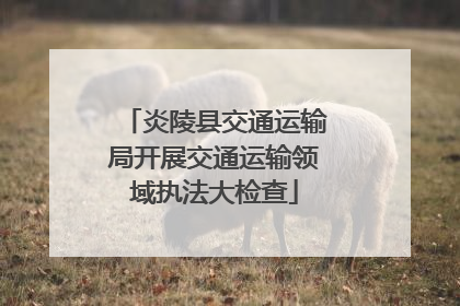 炎陵县交通运输局开展交通运输领域执法大检查