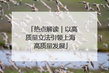热点解读｜以高质量立法引领上海高质量发展