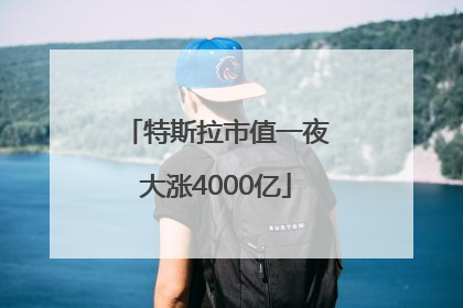 特斯拉市值一夜大涨4000亿