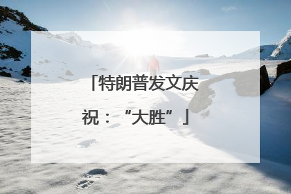 特朗普发文庆祝：“大胜”