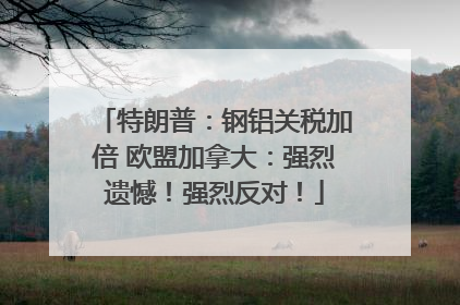 特朗普：钢铝关税加倍 欧盟加拿大：强烈遗憾！强烈反对！