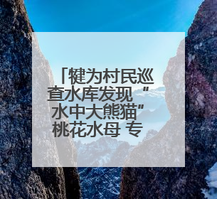 犍为村民巡查水库发现“水中大熊猫”桃花水母 专家：将采集样本鉴定具体种属