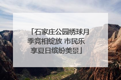 石家庄公园绣球月季竞相绽放 市民乐享夏日缤纷美景