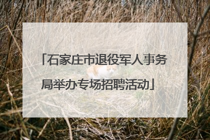 石家庄市退役军人事务局举办专场招聘活动